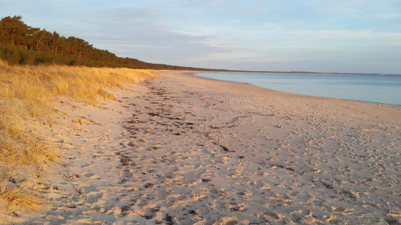 Ostseehaus Odin Doppelhaushaelfte Wiek auf Rügen Buitenkant foto